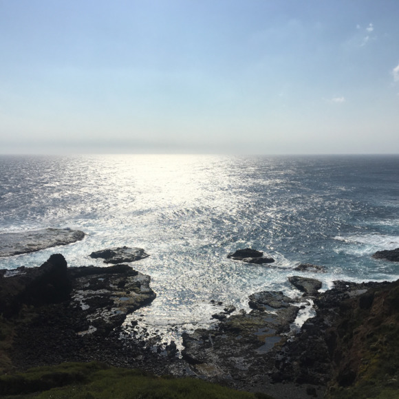 Meet your Posher, Stina - Picture 1 of 1